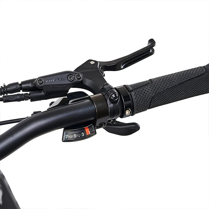 Sorø Folding E-Bike 2026 - Fat tyres - Obsidian Black